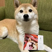 【販売事例】みなさんが販売している「卓上カレンダー」（写真編）